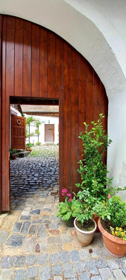 Penzion Merlin Cesky Krumlov Exterior photo
